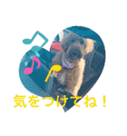 ヴィ〜ちゃんスタンプ2（個別スタンプ：22）