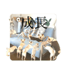 諭吉が止まらない（個別スタンプ：5）