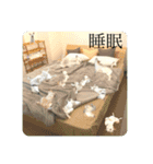 諭吉が止まらない（個別スタンプ：6）