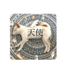 諭吉が止まらない（個別スタンプ：7）