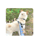 諭吉が止まらない（個別スタンプ：8）