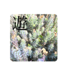 諭吉が止まらない（個別スタンプ：11）
