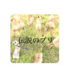 諭吉が止まらない（個別スタンプ：14）