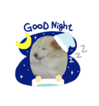 大好きな愛犬をスタンプにしました（個別スタンプ：3）
