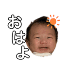 cotaすたツー（個別スタンプ：1）