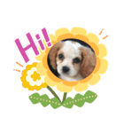 Kai’s happy life（個別スタンプ：3）