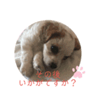 Kai’s happy life（個別スタンプ：5）
