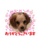 Kai’s happy life（個別スタンプ：6）