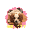 Kai’s happy life（個別スタンプ：7）