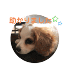 Kai’s happy life（個別スタンプ：9）