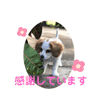 Kai’s happy life（個別スタンプ：10）
