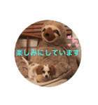 Kai’s happy life（個別スタンプ：14）