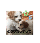 Kai’s happy life（個別スタンプ：15）