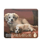 Kai’s happy life（個別スタンプ：17）