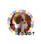 Kai’s happy life（個別スタンプ：18）