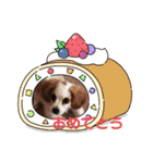 Kai’s happy life（個別スタンプ：19）