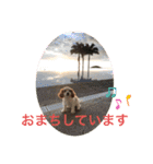 Kai’s happy life（個別スタンプ：22）
