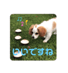 Kai’s happy life（個別スタンプ：29）
