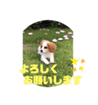 Kai’s happy life（個別スタンプ：30）
