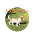 Kai’s happy life（個別スタンプ：31）