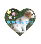 Kai’s happy life（個別スタンプ：32）
