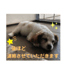 Kai’s happy life（個別スタンプ：34）