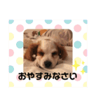 Kai’s happy life（個別スタンプ：37）