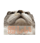 ぺぺさんの喜怒哀楽と焦り（個別スタンプ：2）