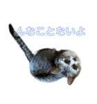 ぺぺさんの喜怒哀楽と焦り（個別スタンプ：9）