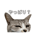ぺぺさんの喜怒哀楽と焦り（個別スタンプ：10）
