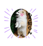 エーススタンプ2（個別スタンプ：3）