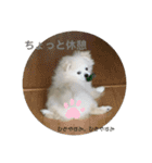 エーススタンプ2（個別スタンプ：9）