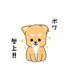 ゴン太犬（個別スタンプ：1）