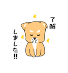 ゴン太犬（個別スタンプ：5）