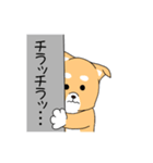 ゴン太犬（個別スタンプ：15）