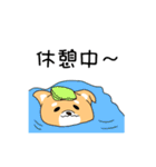 ゴン太犬（個別スタンプ：19）