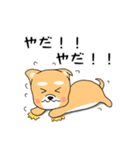 ゴン太犬（個別スタンプ：27）