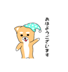 ゴン太犬（個別スタンプ：37）