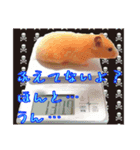はむはむ日和〜ダイエット編〜（個別スタンプ：1）