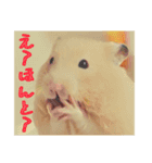 はむはむ日和〜ダイエット編〜（個別スタンプ：4）