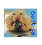 はむはむ日和〜ダイエット編〜（個別スタンプ：5）