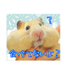 はむはむ日和〜ダイエット編〜（個別スタンプ：6）