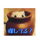 はむはむ日和〜ダイエット編〜（個別スタンプ：7）