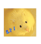 はむはむ日和〜ダイエット編〜（個別スタンプ：8）