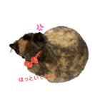 ハナ先輩 3（個別スタンプ：5）