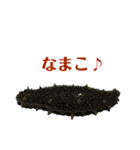 オフショアフィッシング（個別スタンプ：39）