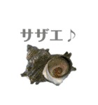 オフショアフィッシング（個別スタンプ：40）