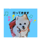 marimousachan（個別スタンプ：1）