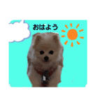 marimousachan（個別スタンプ：2）