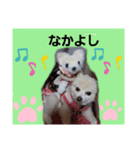 marimousachan（個別スタンプ：8）